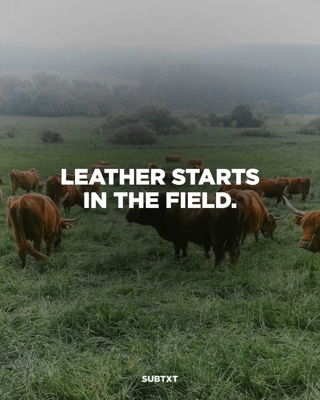 Why Leather — slide 4